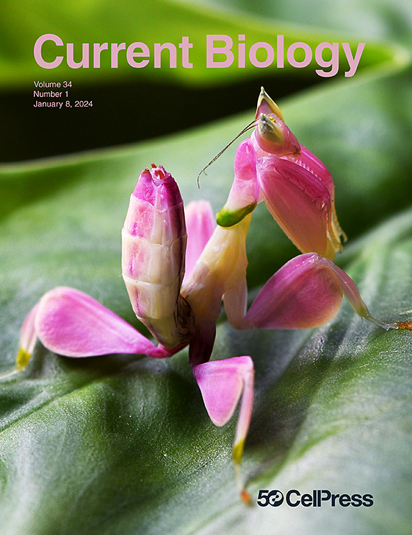 Go to journal home page - Current Biology